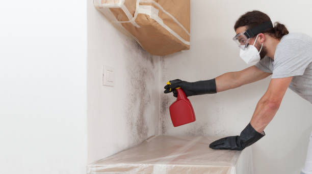 Professional Crawl Space Mold Removal technician working in Rochelle Park, NJ